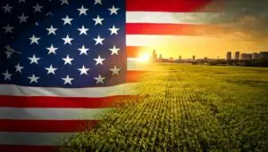 dei-inclusion-in-america